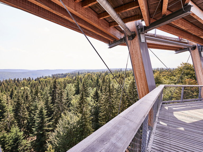 Traumhafte Aussichten bietet der Baumwipfelpfad im Schwarzwald, der nur wenige Kilometer vom Hotel Kronelamm entfernt ist. Die Aussicht über grüne Baumwipfel von einem Aussichtsturm im Schwarzwald