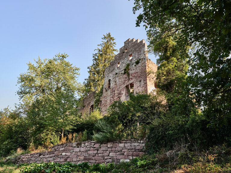 Zwischen grünen Bäumen ragt eine pompöse Steinwand hervor.