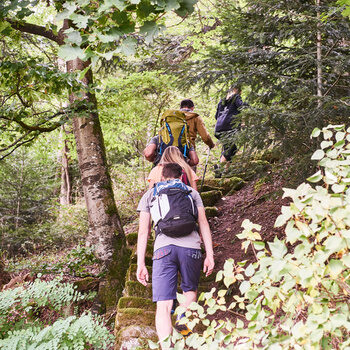 Some guests are on a hiking trail through the Black Forest with hiking backpacks and hiking poles