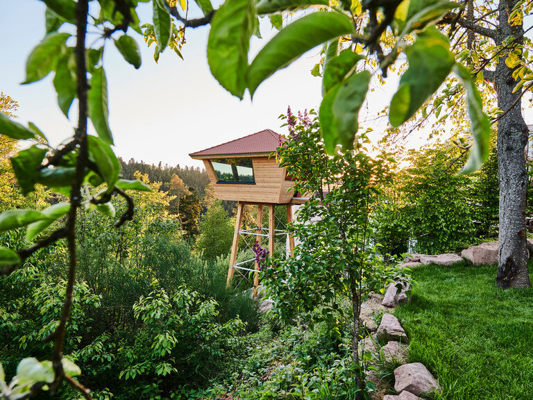 A sauna built on high stilts in the middle of the Black Forest.