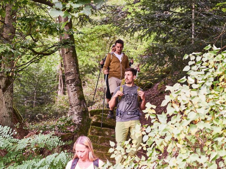 Guests are on a hiking trail through the Black Forest with hiking backpacks and hiking poles.
