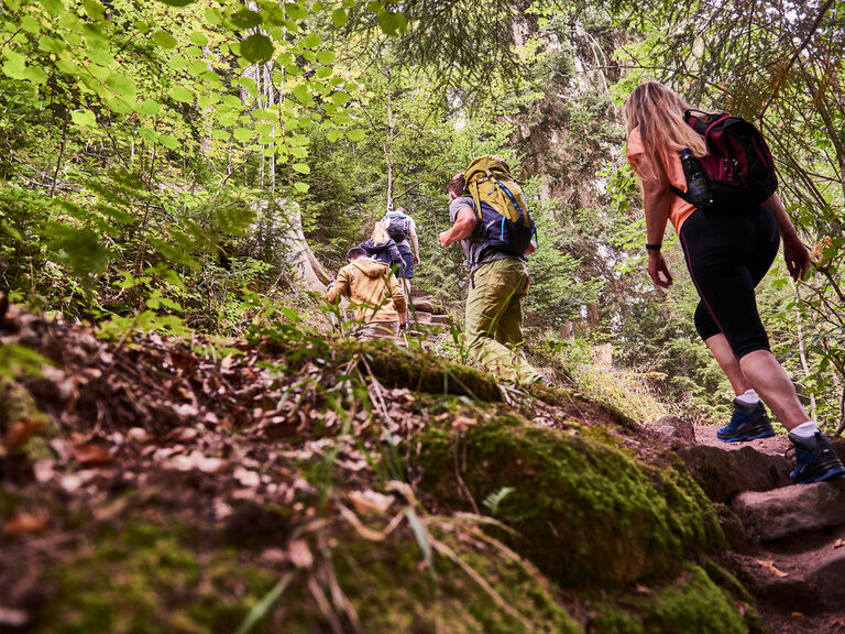 Three people walk up stairs in nature.