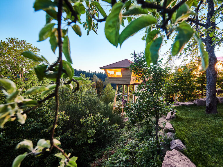 Eine auf Stelzen gebaute Hochsitzsauna umrahmt von Bäumen und Sträuchern in der Abenddämmerung.