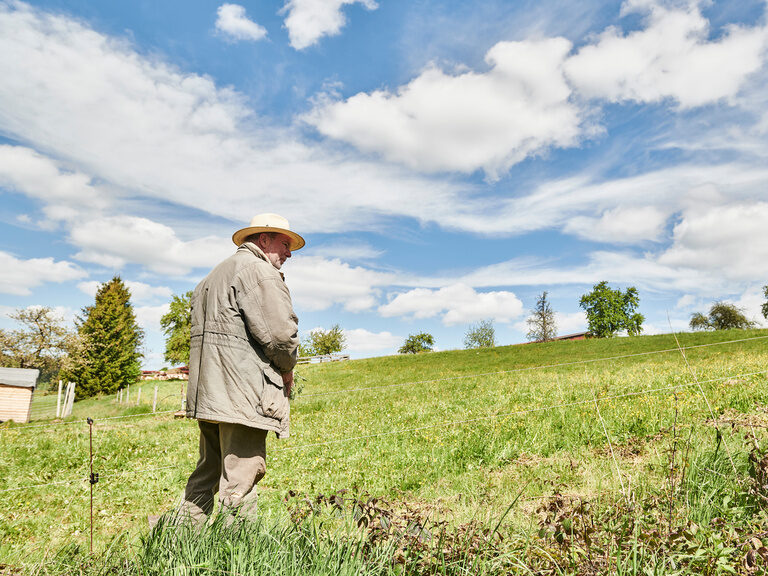 Ein Herr mit Panamahut steht bei strahlend blauem Himmel auf einer grünen Wiese und schaut in die Ferne.