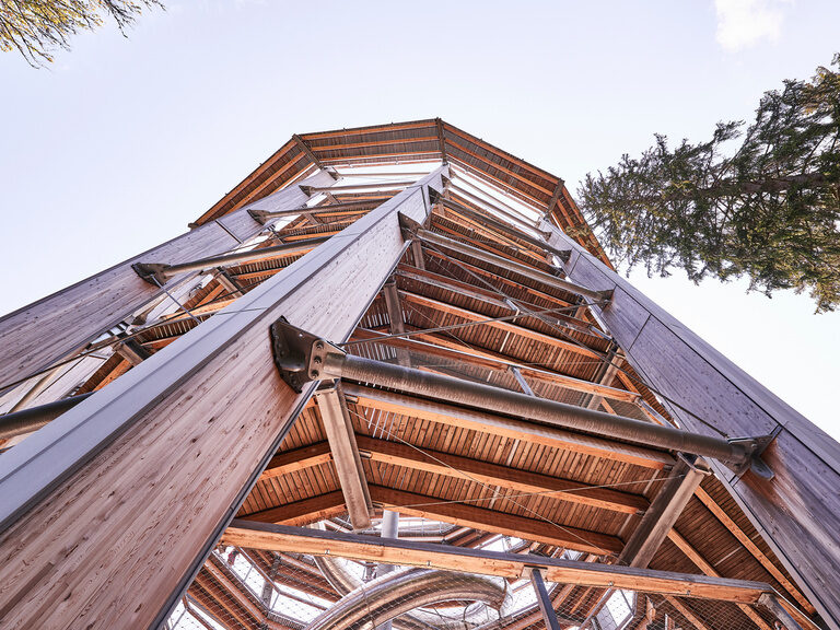 The top of a viewing tower and the treetops of the trees surrounding it rise into the blue sky.
