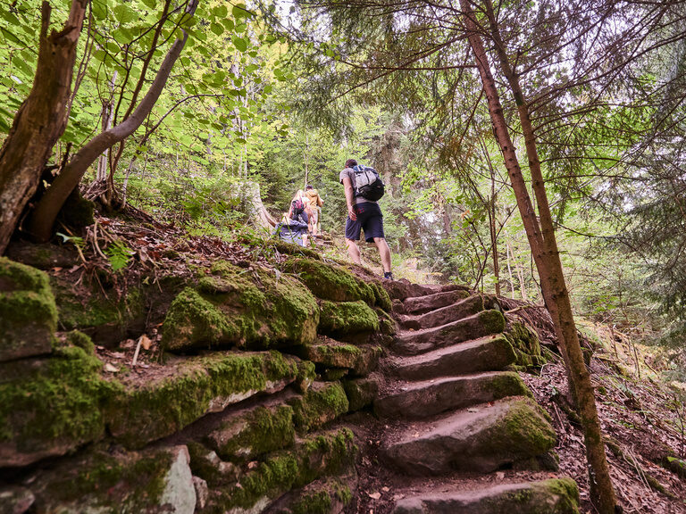 Rund um Zavelstein, durch den schönen Schwarzwald führen zahlreiche Wanderwege. Eine Treppe aus Steinen, auf der zwei Menschen hinaufgehen, führt durch einen Wald.